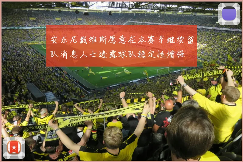 安东尼戴维斯愿意在本赛季继续留队消息人士透露球队稳定性增强